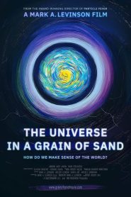 The Universe in a Grain of Sand