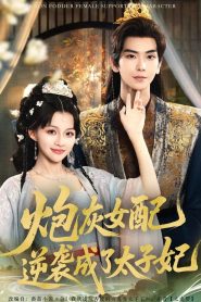 炮灰女配逆袭成了太子妃