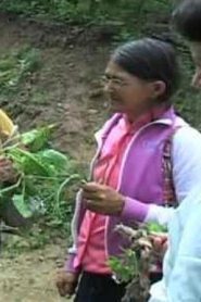 Farmácia Verde do Sertão