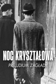 Kristallnacht, the November pogroms