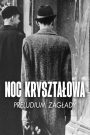Kristallnacht, the November pogroms