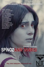 Spinoza’s God