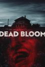 Dead Bloom