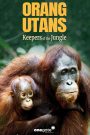 Orang Utans – Keepers of the Jungle