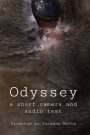 Odyssey – a camera and audio test