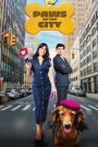 Paws in the City
