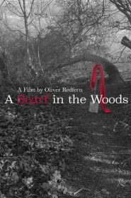 A Scarf In The Woods