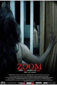 ZOOM