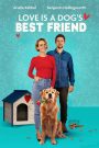 Love Is a Dog’s Best Friend