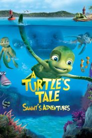 A Turtle’s Tale: Sammy’s Adventures
