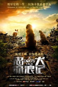 A Dog’s Tale