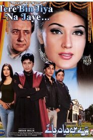 Tere Bin Jiya Na Jaye