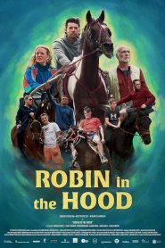 Robin in the Hood
