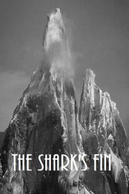 The Shark’s Fin