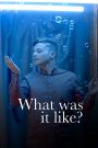 What Was It Like?