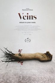 Veins