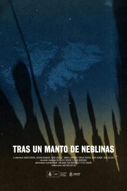 Tras un Manto de Neblinas