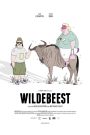 Wildebeest